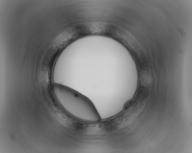 X0000111650740200908141251