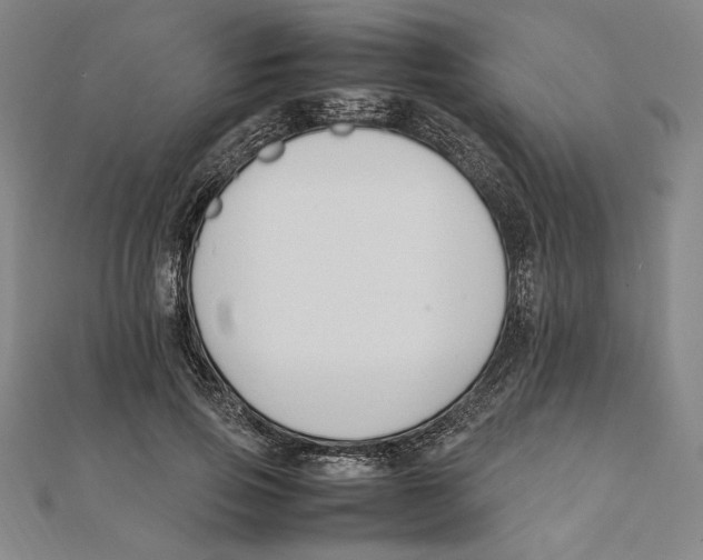 X0000111650741200908141251