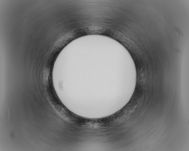 X0000111650742200908141251