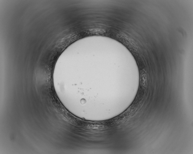 X0000111650745200908141251