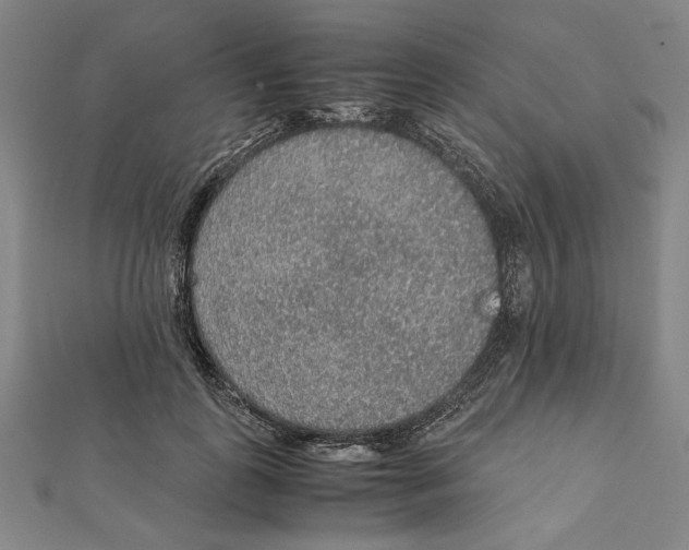 X0000111650747200908141251