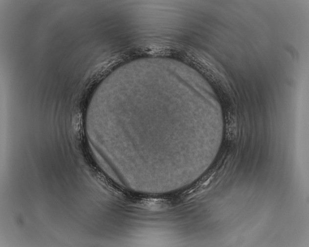 X0000111650748200908141251