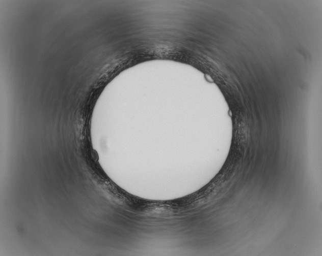 X0000111650750200908141251