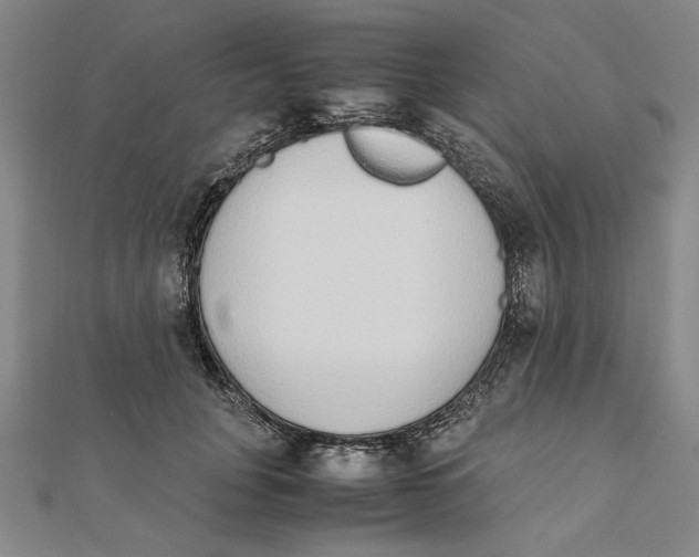 X0000111650751200908141251