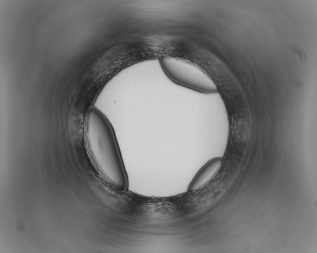 X0000111650752200908141251