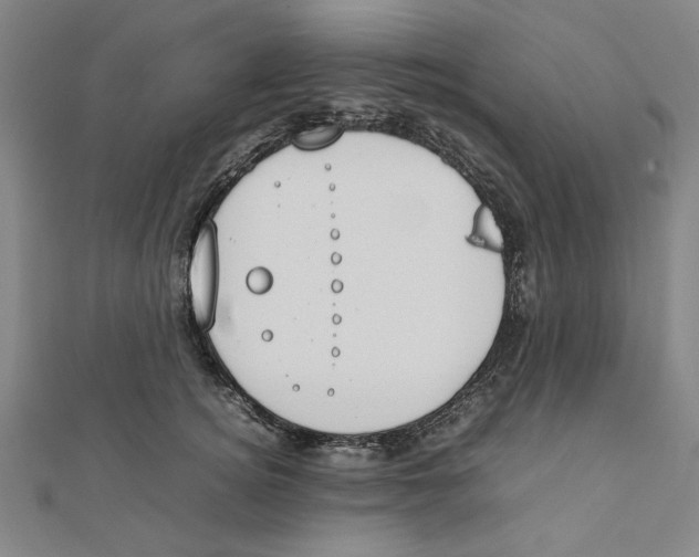 X0000111650756200908141251