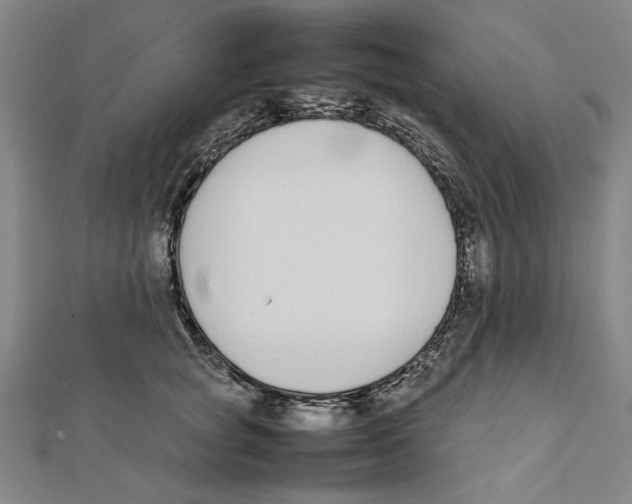 X0000111650757200908141251