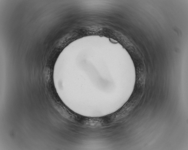 X0000111650758200908141251