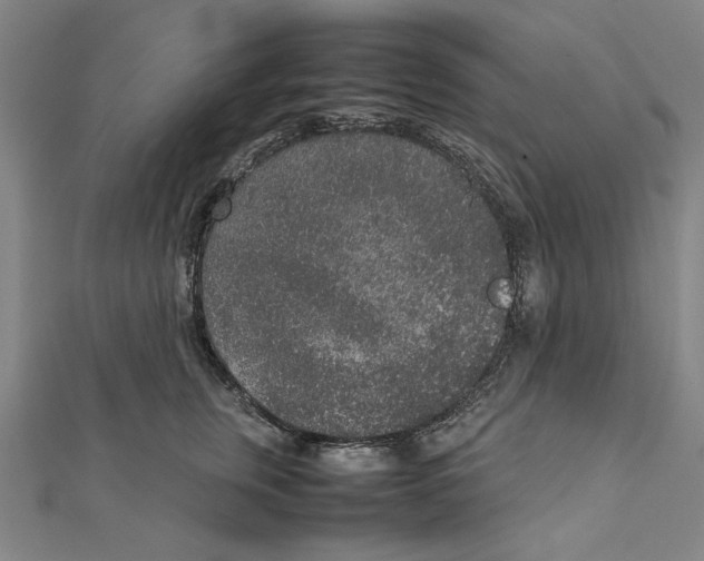 X0000111650759200908141251