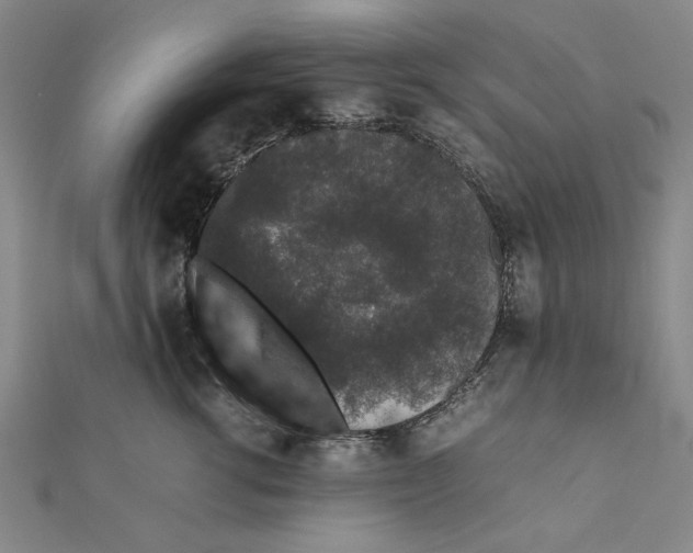 X0000111650762200908141251