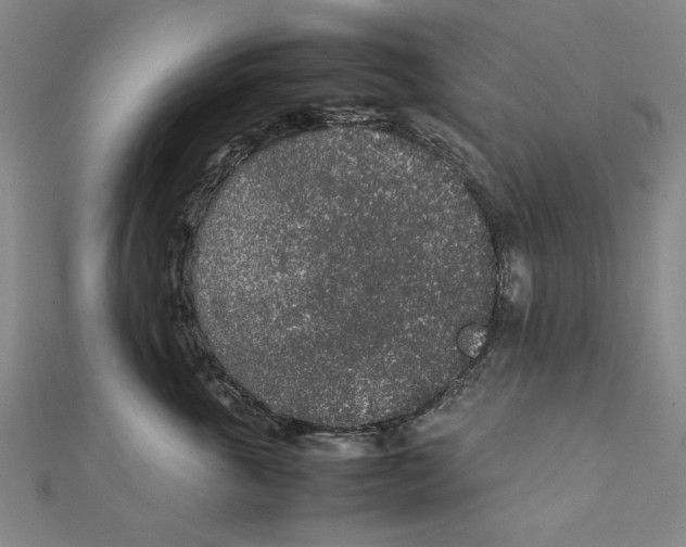 X0000111650763200908141252