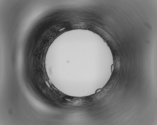 X0000111650764200908141252