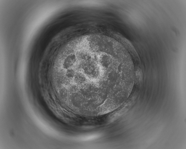 X0000111650765200908141252