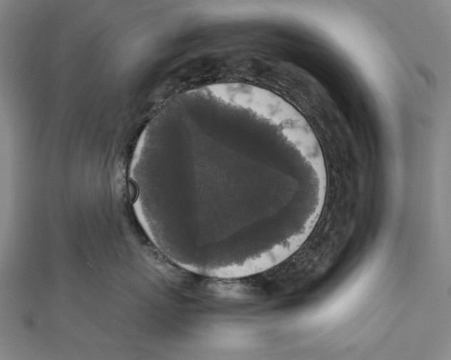 X0000111650767200908141252