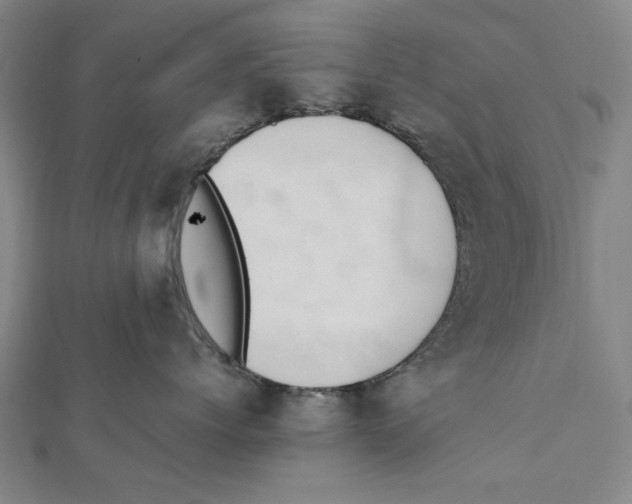 X0000111650768200908141252