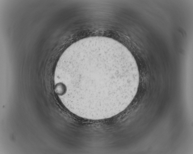 X0000111650769200908141251