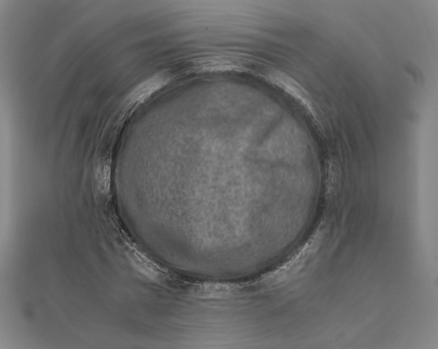 X0000111650777200908141251