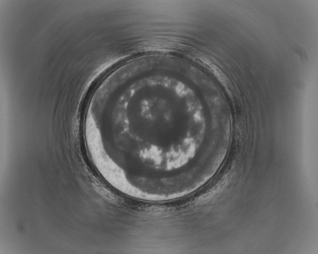 X0000111650779200908141251
