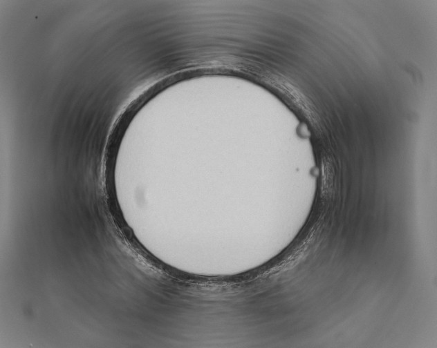X0000111650780200908141251