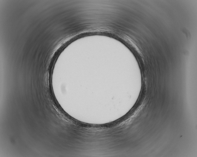 X0000111650781200908141250