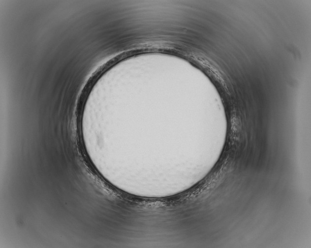 X0000111650784200908141250