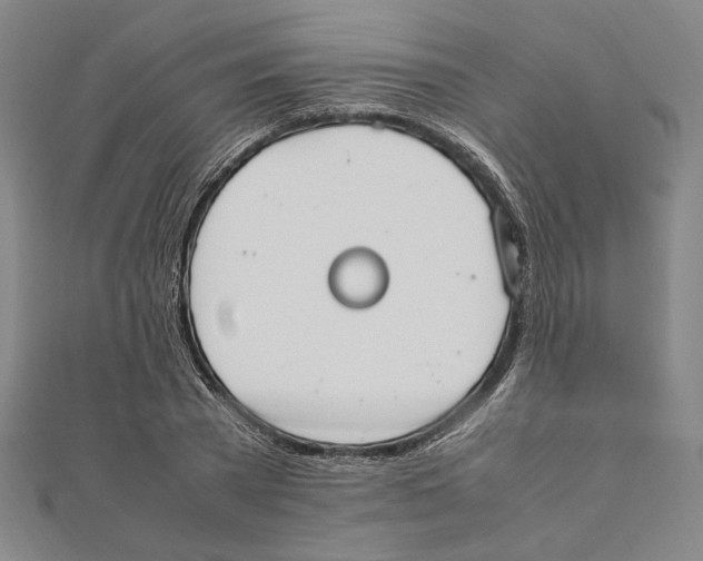 X0000111650785200908141250