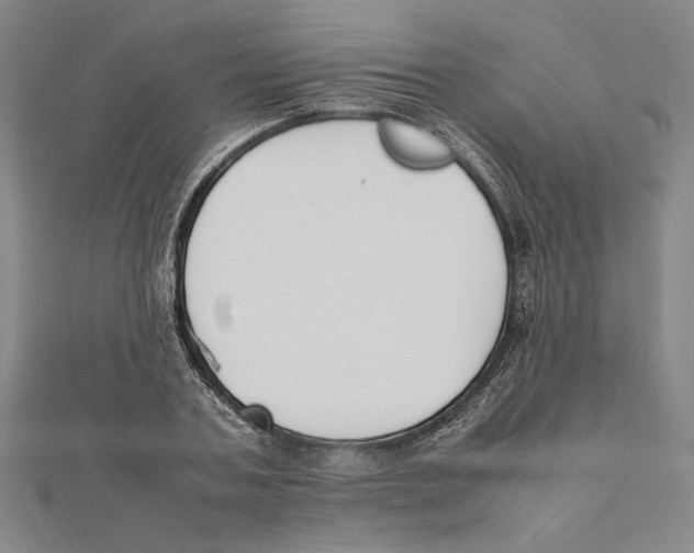 X0000111650787200908141250
