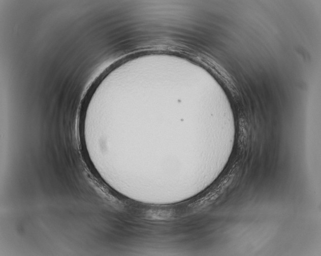 X0000111650788200908141250