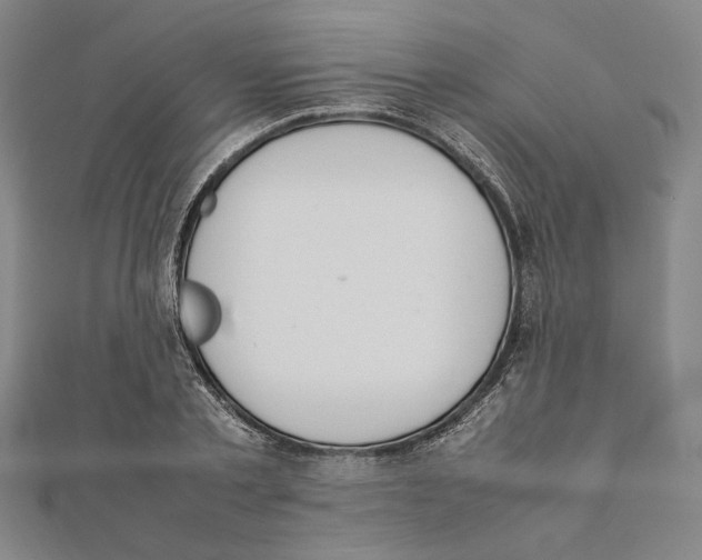 X0000111650789200908141250