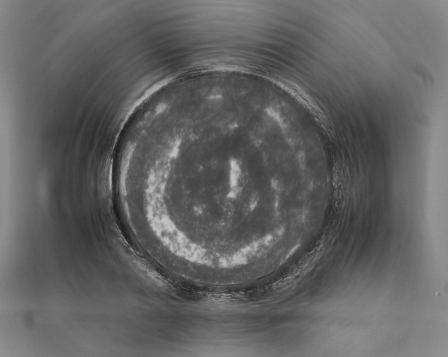X0000111650790200908141250