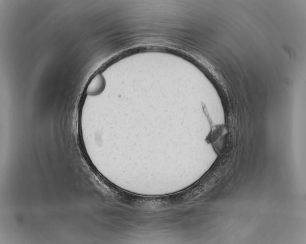 X0000111650791200908141250