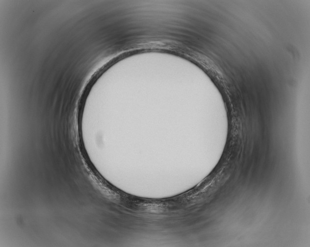 X0000111650792200908141250