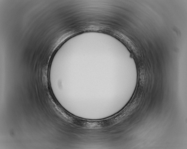X0000111650794200908141250