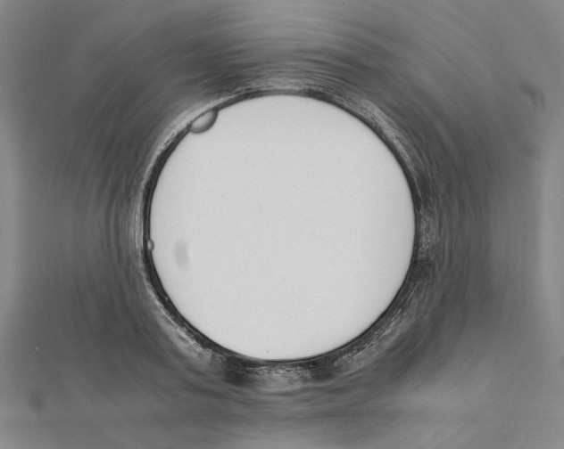 X0000111650795200908141250