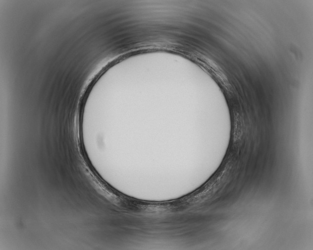 X0000111650796200908141250