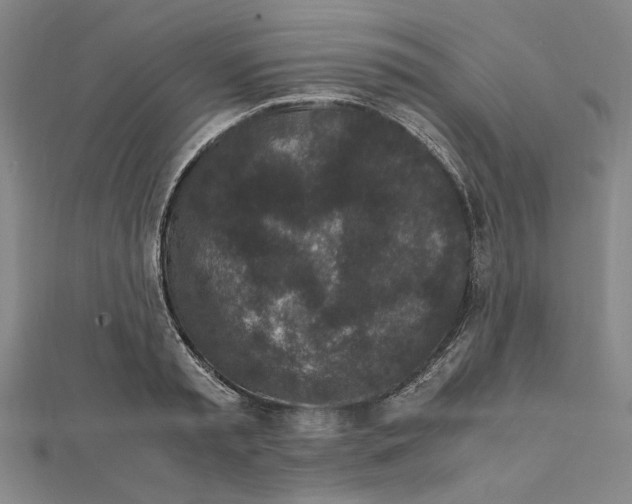 X0000111650797200908141250