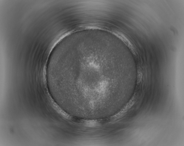 X0000111650798200908141250