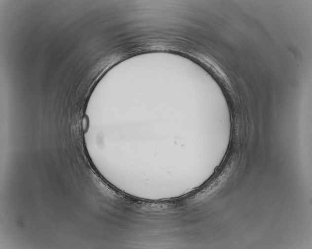 X0000111650801200908141250