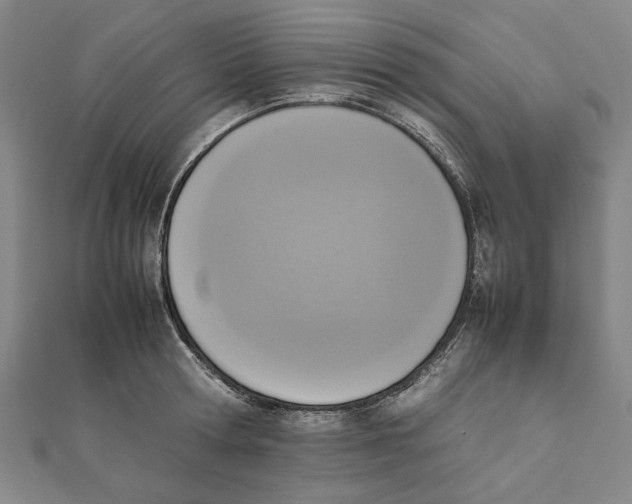 X0000111650802200908141250
