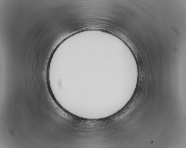 X0000111650803200908141250