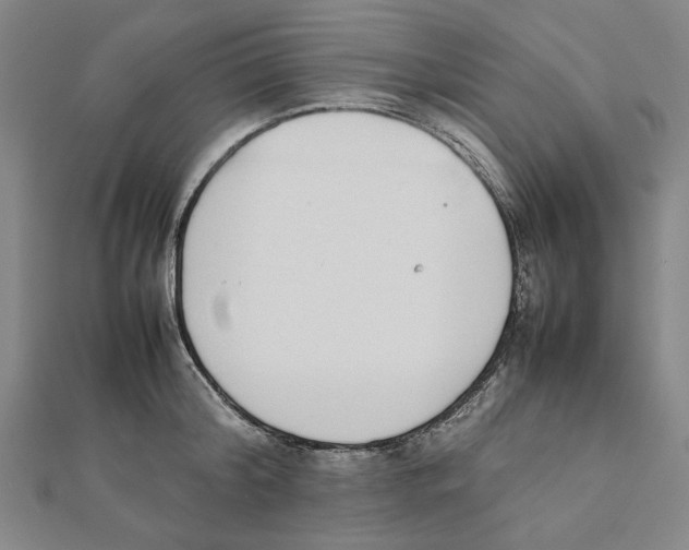 X0000111650804200908141250
