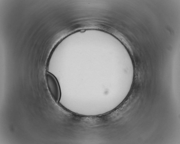 X0000111650805200908141250