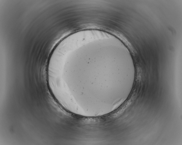 X0000111650806200908141250
