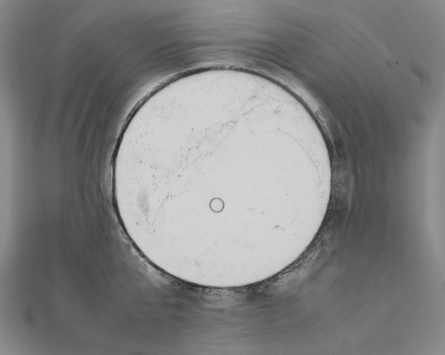 X0000111650807200908141250