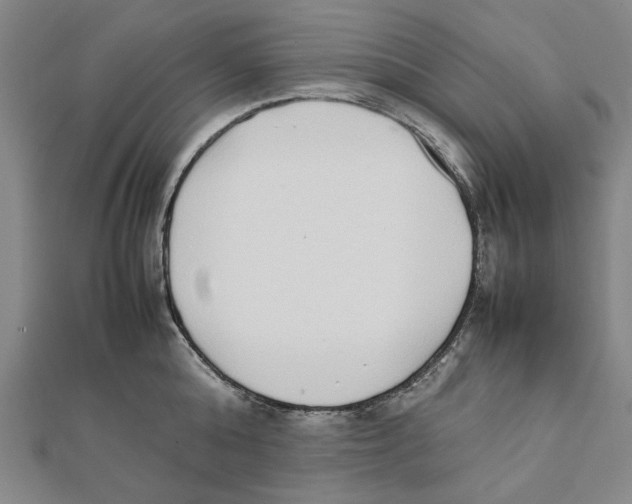 X0000111650808200908141250