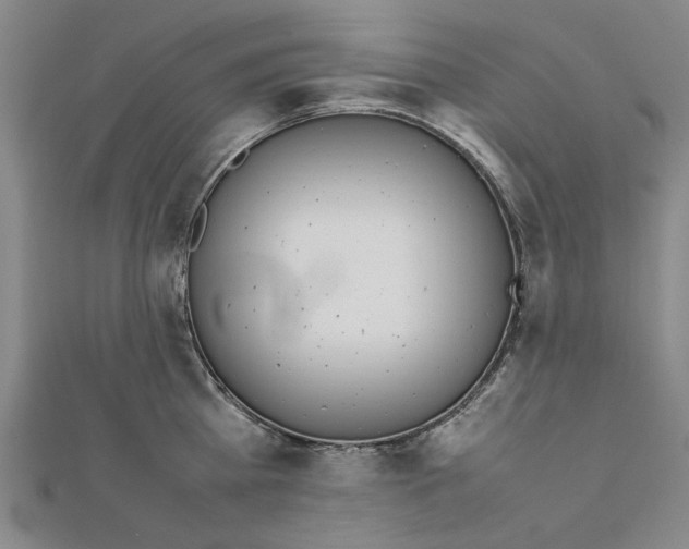 X0000111650809200908141250