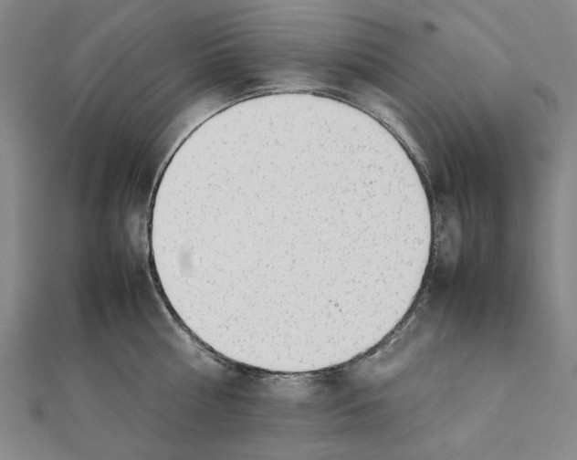 X0000111650810200908141250