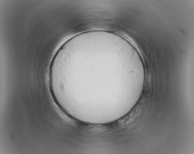 X0000111650811200908141250