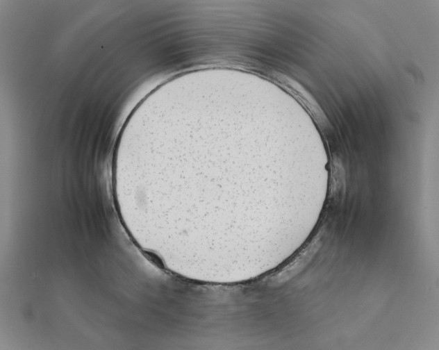 X0000111650812200908141250