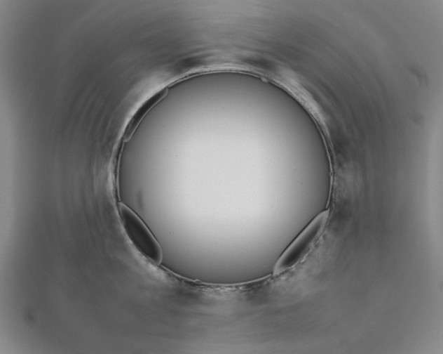 X0000111650813200908141250